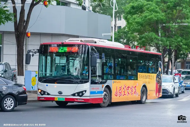 800BUS