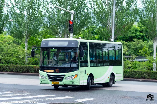 800BUS