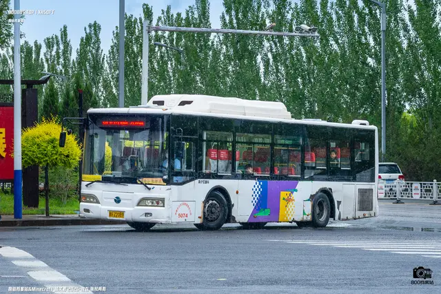 800BUS