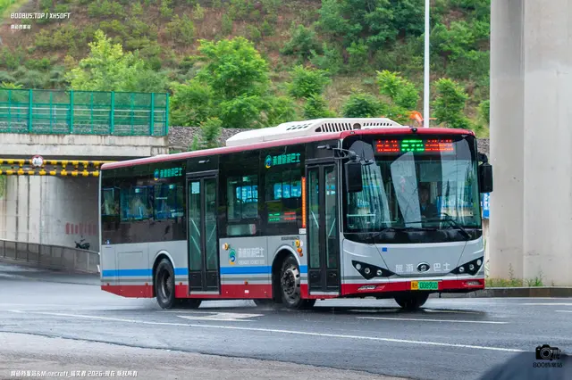 800BUS