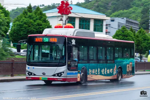 800BUS