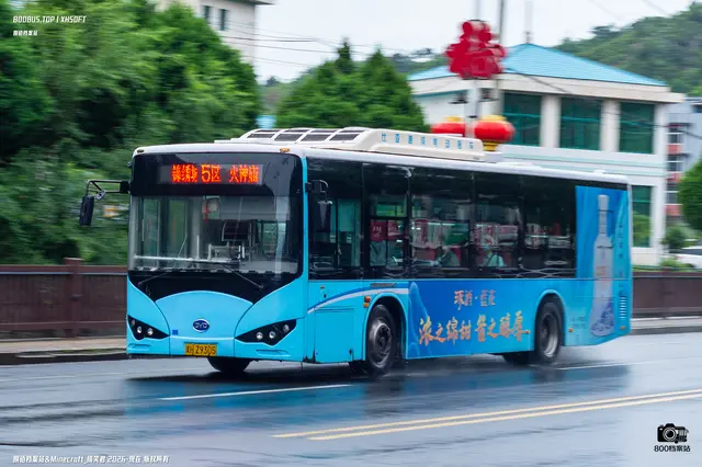 800BUS