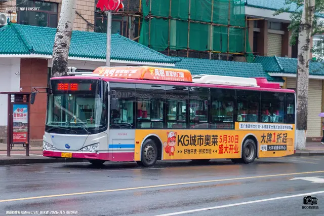 800BUS