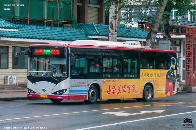 800BUS