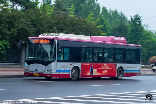 800BUS