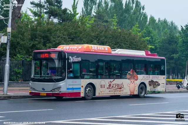 800BUS