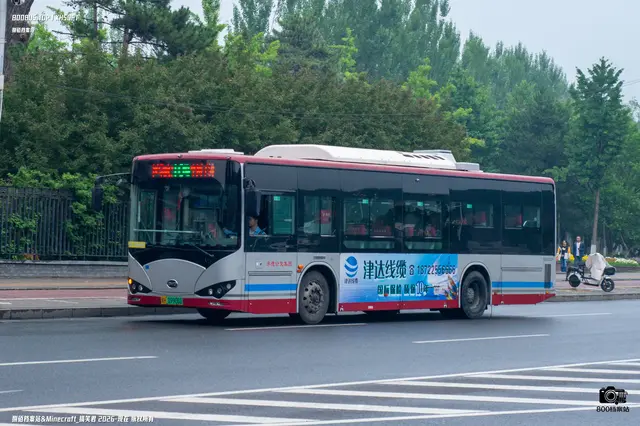 800BUS