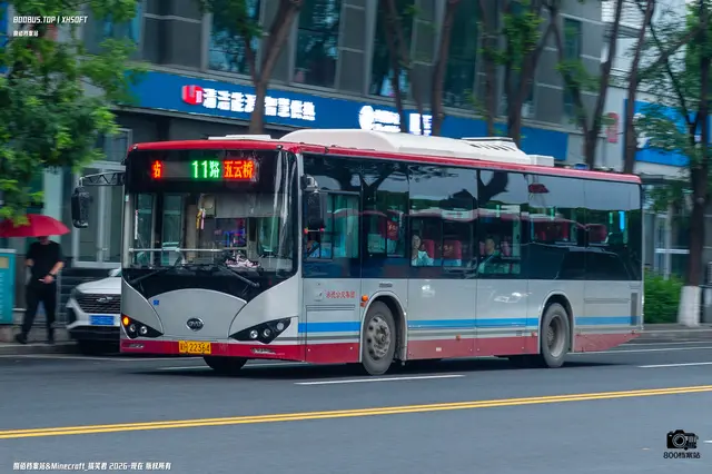 800BUS