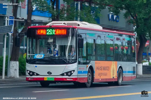 800BUS