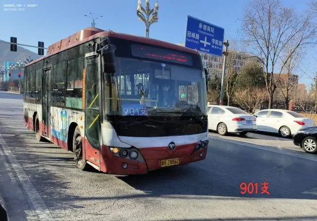 800BUS