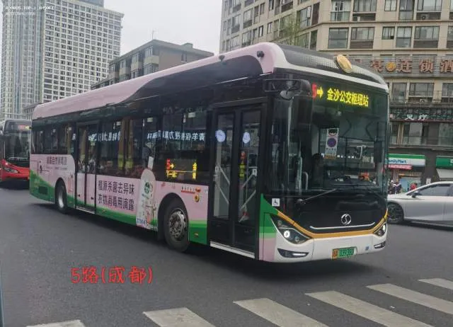 800BUS