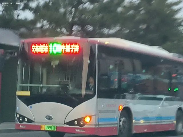 冀H·09916D