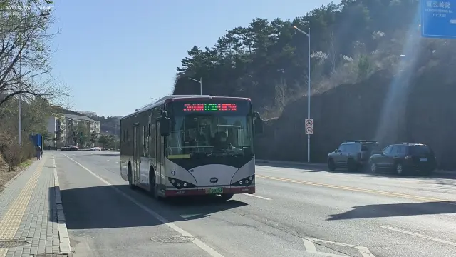 冀H·08696D