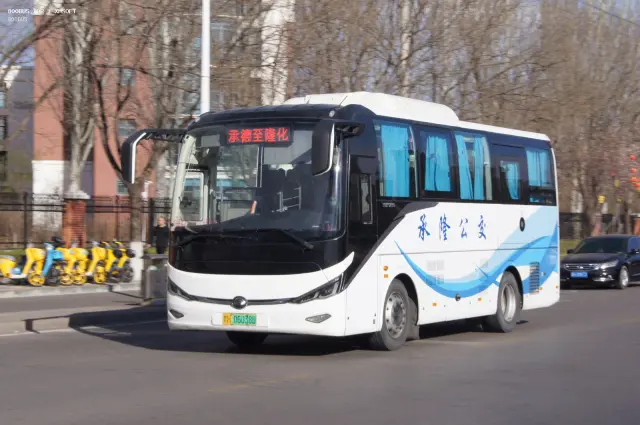 800BUS