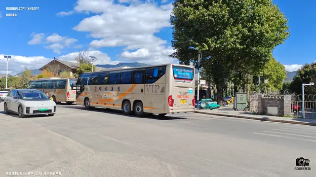 800BUS