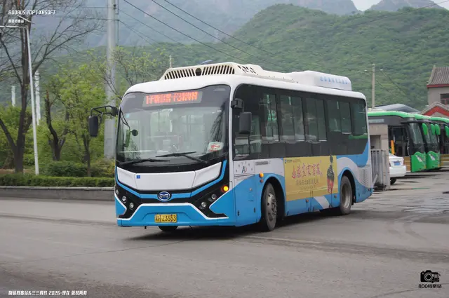 800BUS
