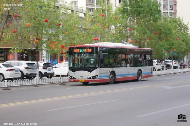 800BUS