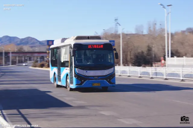 800BUS