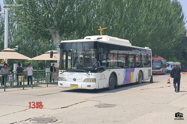 800BUS