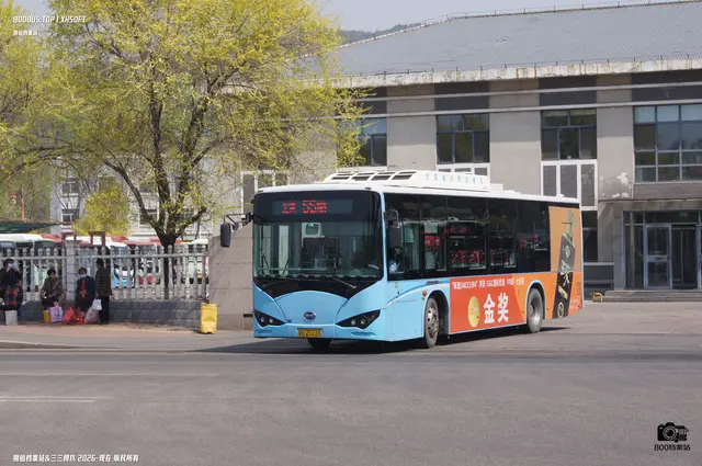 800BUS
