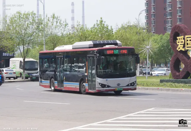 800BUS