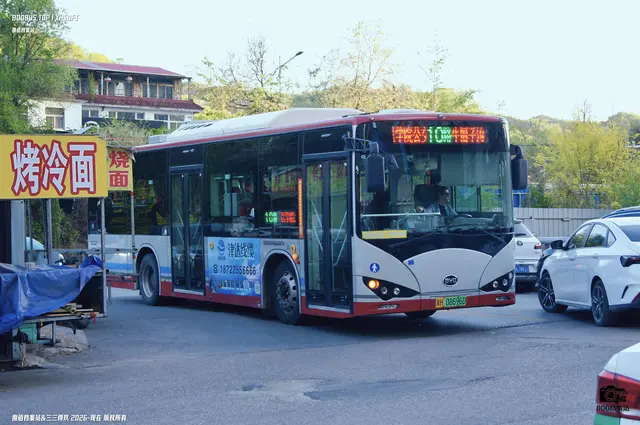 800BUS