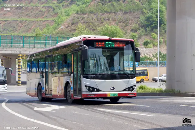 800BUS