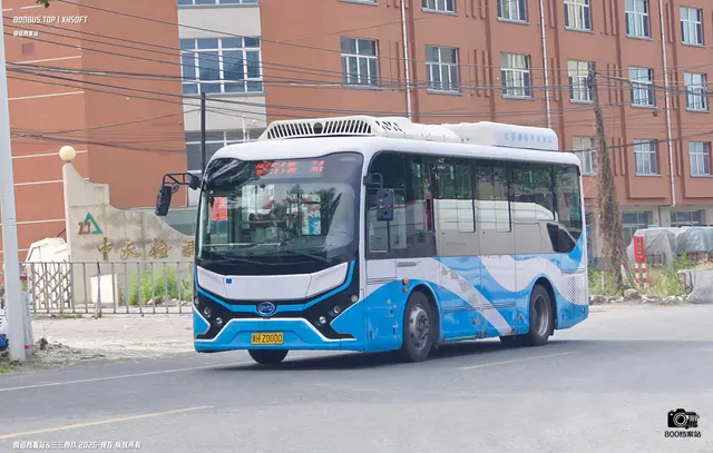 800BUS