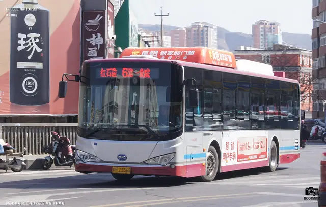 800BUS