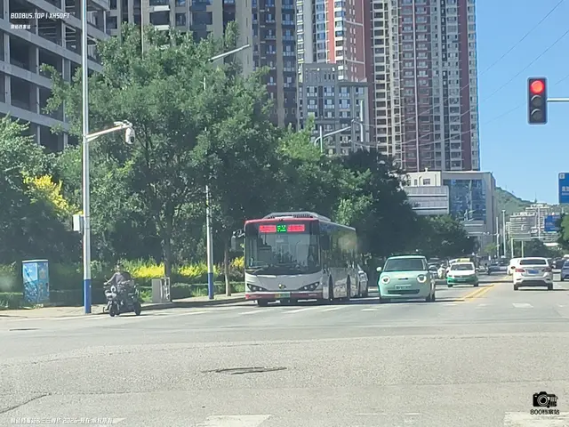 800BUS
