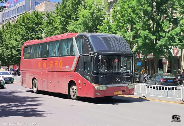 800BUS