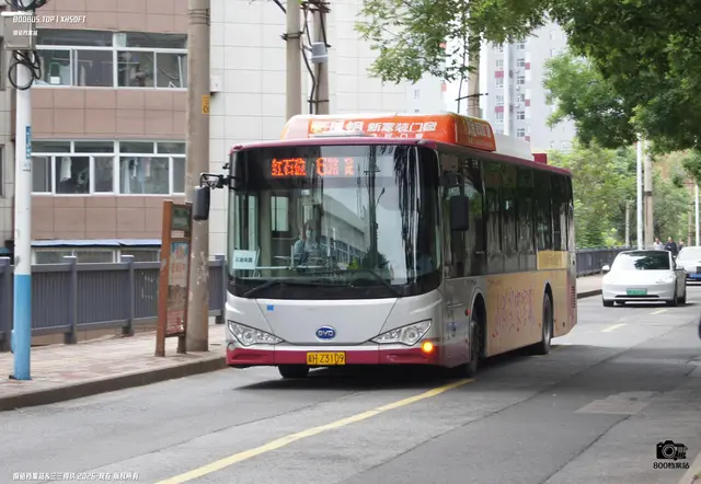 800BUS