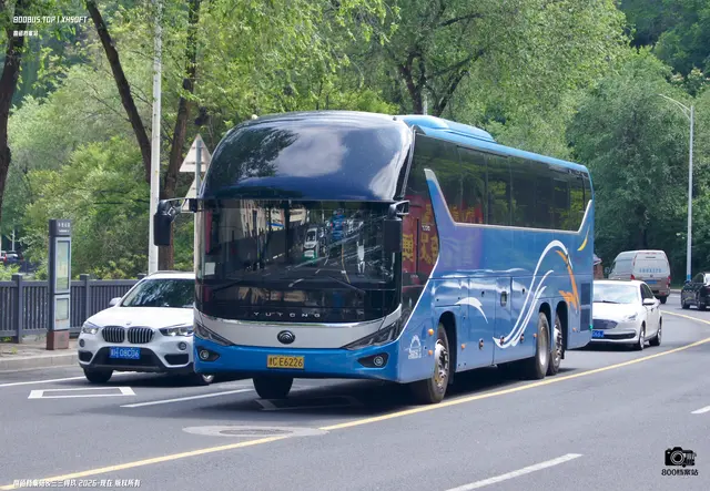 800BUS