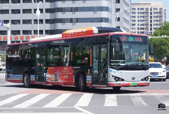 800BUS