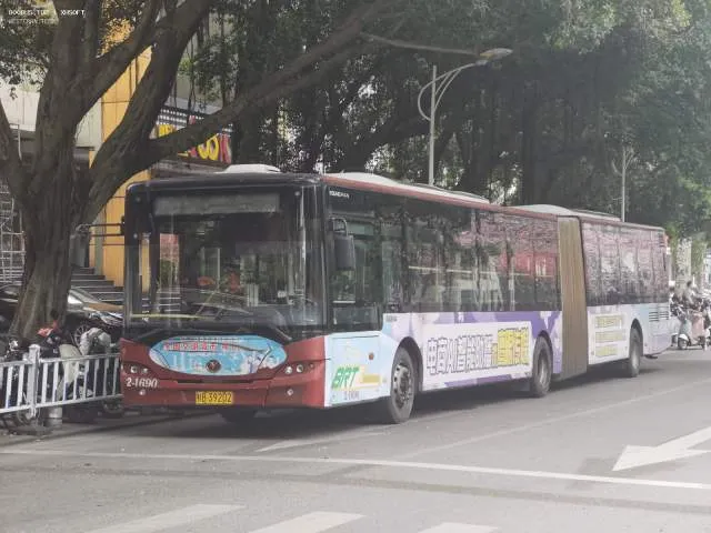 800BUS