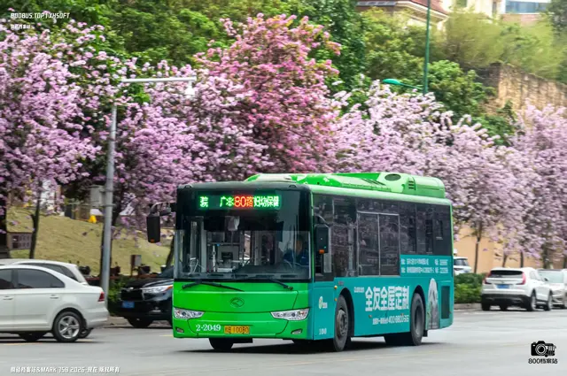 800BUS