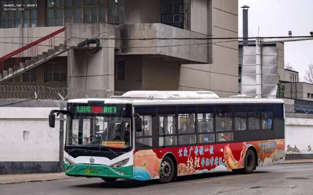 800BUS