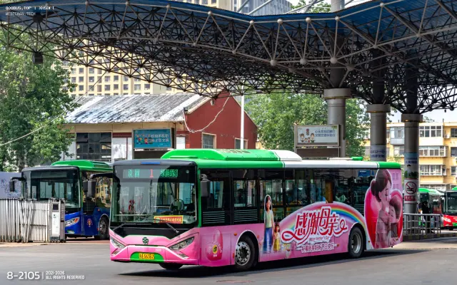 800BUS