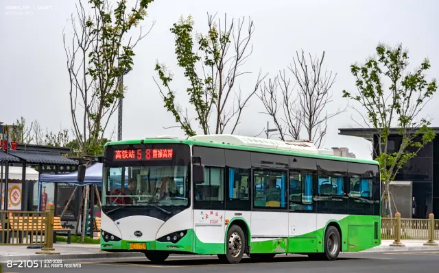 800BUS