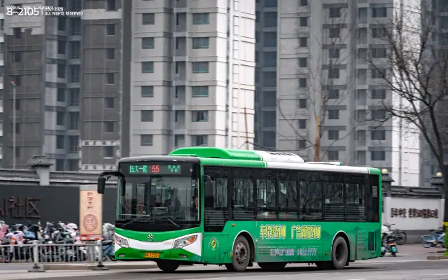 800BUS