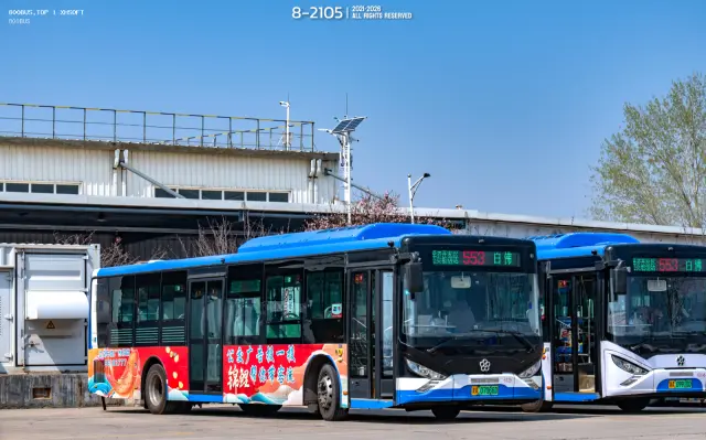 800BUS