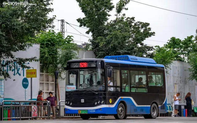 800BUS