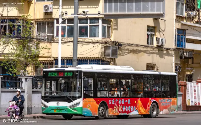 800BUS