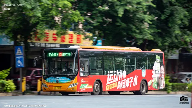 800BUS