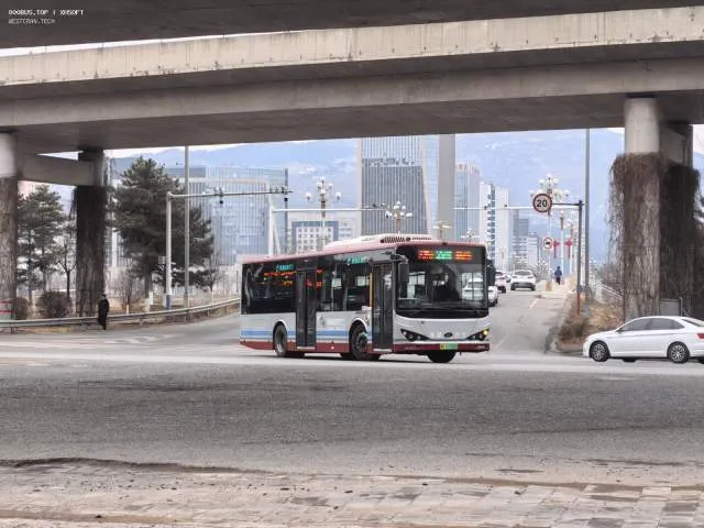 800BUS