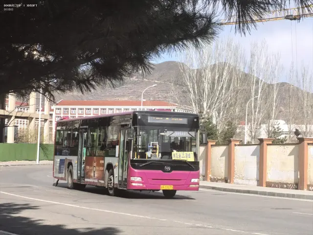冀H Z2035