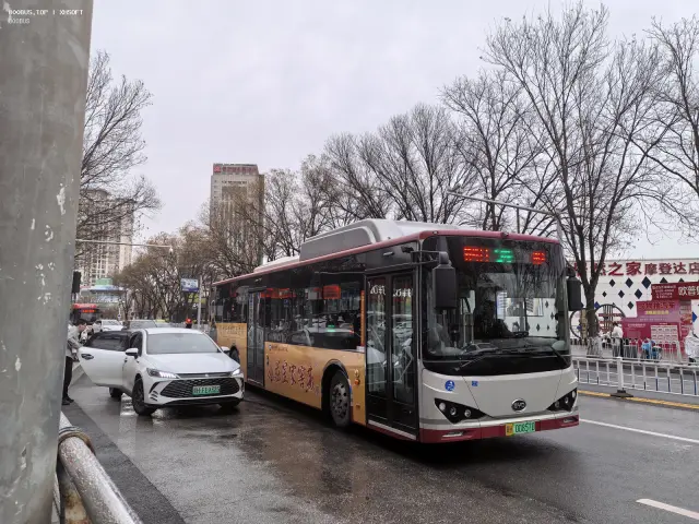 800BUS