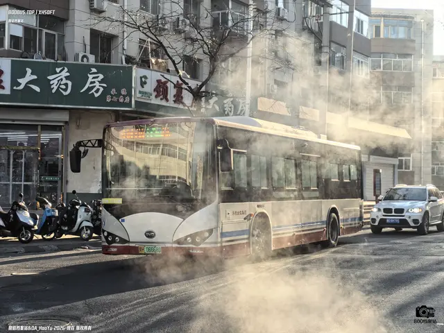 冀H 06668D