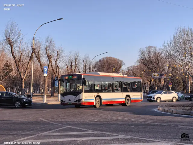 冀H 08788D
