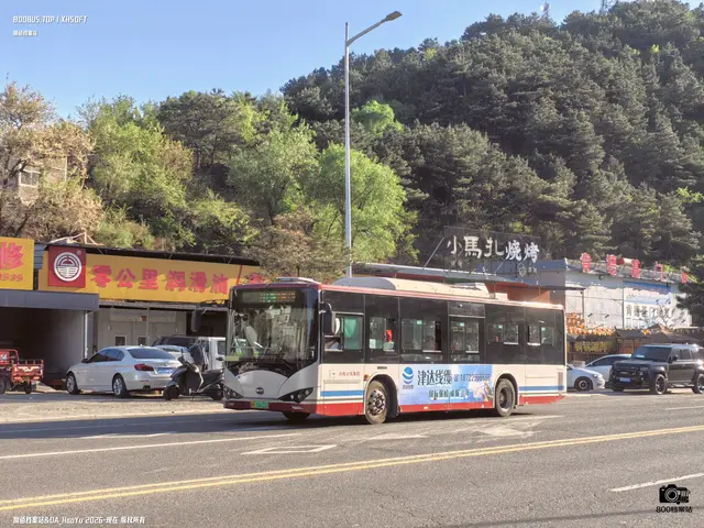 冀H 06655D